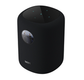 WiiM Sound Wireless Smart Speaker- Black
