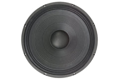 citronic CV12 replacement main driver 300mm 250W citronic CV12 replacement main driver 300mm 250W