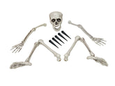 Europalms Halloween Skeleton, Multipart