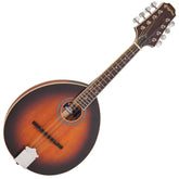 Vintage Pilgrim Redwood Mandolin - Antique Violin Burst