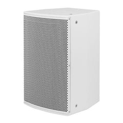 Clever Acoustics SVT 250 10" Passive Installation Loudspeaker 500W White Clever Acoustics SVT 250 10" Passive Installation Loudspeaker 500W White