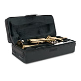 Vienna Bb Trumpet Gold inc carry case & cleaning kit
