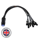 eLumen8 PowerCON True1 - Câble d'entrée de ventilateur Socapex 19 broches femelle 1,5 mm
