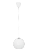 Omnitronic Wp-2H Deckenlautsprecher-Anhänger