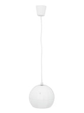Omnitronic Wp-2H Ceiling Speaker Pendant