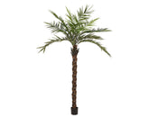 EUROPALMS Kentia palmier deluxe, plante artificielle, 300cm