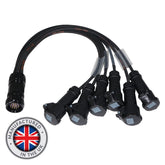 Mennekes Socapex 19-Pin Male - 16A Mennekes Female 2.5mm Fan-Out Cable