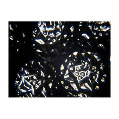 Showtec Dreammoon LED 60W RGBW Effect Light Mirror Dish DJ Disco Lighting Showtec Dreammoon LED 60W RGBW Effect Light Mirror Dish DJ Disco Lighting