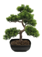 Europalms Kiefernbonsai, Kunstpflanze, 50 cm **