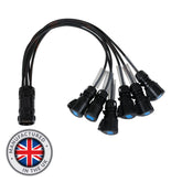 eLumen8 Socapex 19-poliger Stecker – 16 A Buchse, 1,5 mm Fan-Out-Kabel