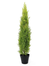 EUROPALMS Cypress, Leyland, artificial plant, 120cm