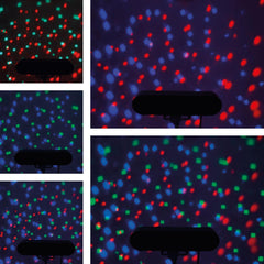 Thor LED Derby FX Lite Partybar DJ LED inc Stand & Remote *B-Stock Thor LED Derby FX Lite Partybar DJ LED inc Stand & Remote *B-Stock