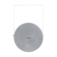 Clever Acoustics PS 620 Haut-parleur de projecteur 100 V 6'' 15 W Clever Acoustics PS 620 Haut-parleur de projecteur 100 V 6'' 15 W