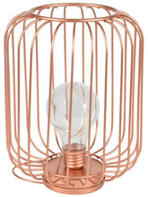 Lyyt | Decorative Cage Light with Copper Wire Bulb | Rose Gold