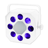 Equinox White Shard Moonflower