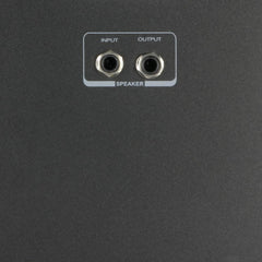 LD Systems Roadman 102 SP Passive Follower Speaker LD Systems Roadman 102 SP Passive Follower Speaker