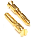 Floyd Rose Bridge Wood Screw Stud - Gold (pkg)