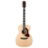 Godin Fairmount Ch Ltd Rosewood Hg Electro Acoustic Guitar W/bag