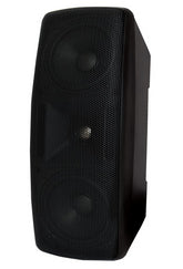 W Audio BMS204 Speaker Black 2 x 4" Installation 100V Line