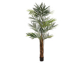 EUROPALMS Kentia-Palme, Kunstpflanze, 300cm