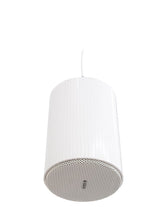 Omnitronic Wp-25W Ceiling Speaker