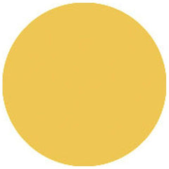 Showtec Colour Sheet Par Can Gel Diffuser Filter (Deep Golden Amber) Showtec Colour Sheet Par Can Gel Diffuser Filter (Deep Golden Amber)