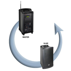LD Systems Roadman 102 SP Passive Follower Speaker LD Systems Roadman 102 SP Passive Follower Speaker