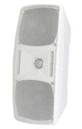W Audio BMS204 Speaker White 2 x 4" Installation 100V Line