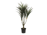 EUROPALMS Dracena, green-red, artificial, 90cm
