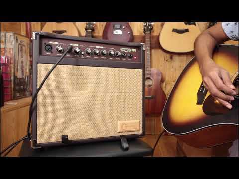 Carlsbro Sherwood 30 Akustikgitarren-Combo-Verstärker-Lautsprecher