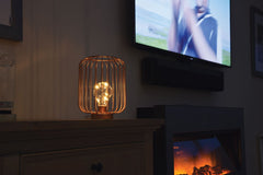Lyyt | Decorative Cage Light with Copper Wire Bulb | Rose Gold