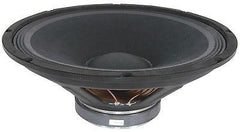 2x 500W RMS 8 Ohm 12" Driver