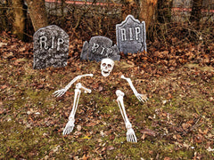 Europalms Halloween Skeleton, Multipart