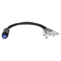 eLumen8 PowerCON - Câble d'entrée de ventilateur Socapex 19 broches femelle 1,5 mm