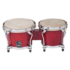 P.p.bongos- Trans Red