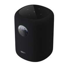 WiiM Sound Wireless Smart Speaker- Black