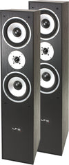 LTC 350W Floor Standing Speakers (Black)