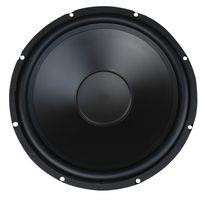 MCM Audio 15" Speaker Driver 8 Ohm 200W RMS PA Speaker Cabinet