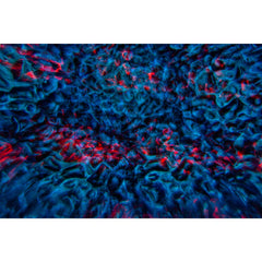 JB SYSTEMS Delusion Multi-effect Background Wall Projector, Based on 100W LED