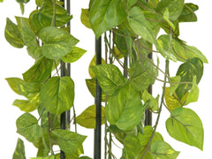 EUROPALMS Vrille de buisson de Pothos premium, artificielle, 170cm