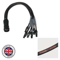 eLumen8 Socapex 19-Pin Male - PowerCON True1 2.5mm Fan-Out Cable