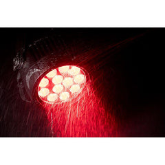 ADJ Encore LP12 IP Outdoor Par IP65 12 x 20W RGBL LED