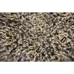 JB SYSTEMS Delusion Multi-effect Background Wall Projector, Based on 100W LED