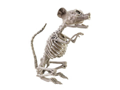 Rat squelette d'Halloween Europalms, 32 x 10 x 16 cm