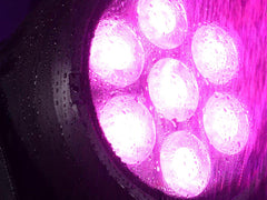 Eurolite EUROLITE LED IP PAR 7x10W RGBL Spot Light