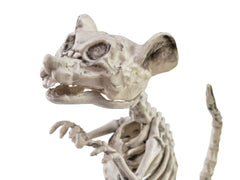 Rat squelette d'Halloween Europalms, 32 x 10 x 16 cm