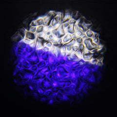 Equinox Waterwave XP 100W Rippling Water Effect Light DMX Sensory Lighting