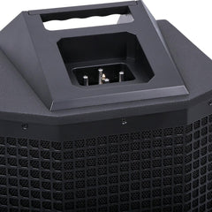 2x Studiomaster DIRECT 121MX Column Speaker