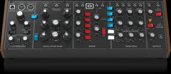 Behringer Model D Authentischer Analogsynthesizer