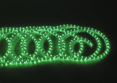 Eurolite Rubberlight Rl1-230V Vert 5M